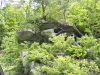 img0080.jpg