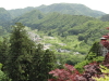 img0108.jpg