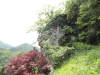 img0111.jpg