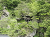 img0124.jpg