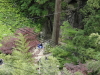 img0136.jpg