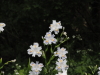 img0142.jpg