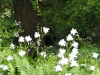img0143.jpg