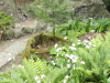 img0144.jpg