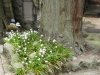 img0145.jpg