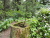 img0146.jpg