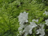 img0149.jpg
