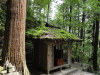 img0151.jpg