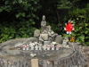 img0152.jpg