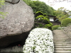 img0158.jpg