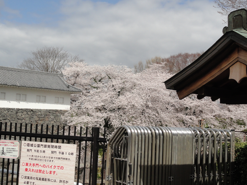 img0018.jpg