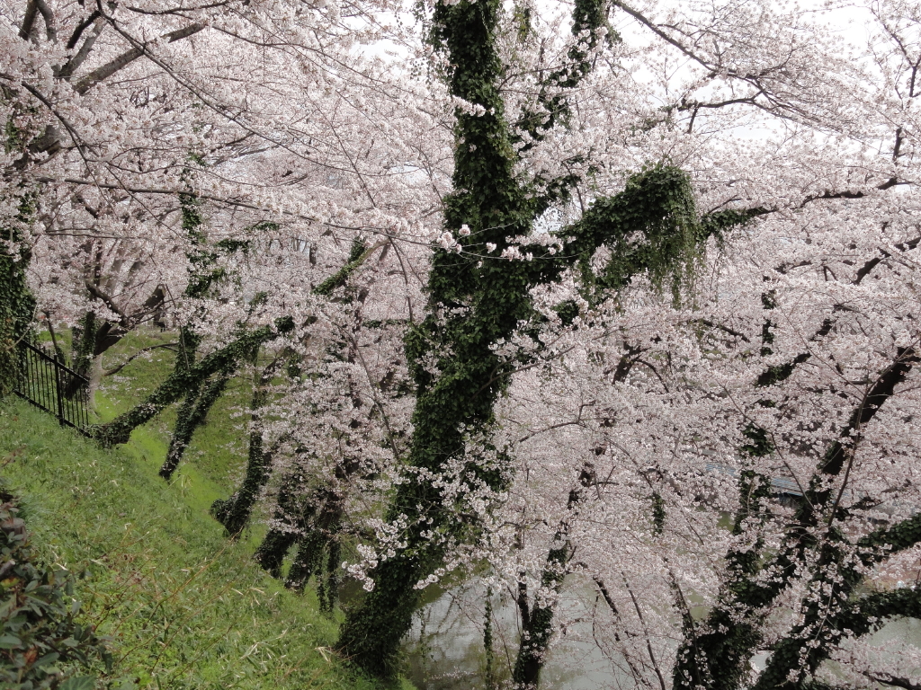 img0035.jpg