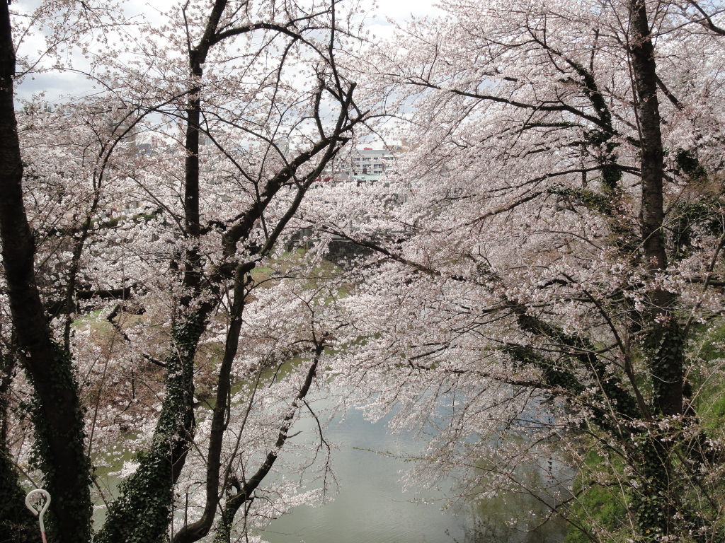 img0042.jpg