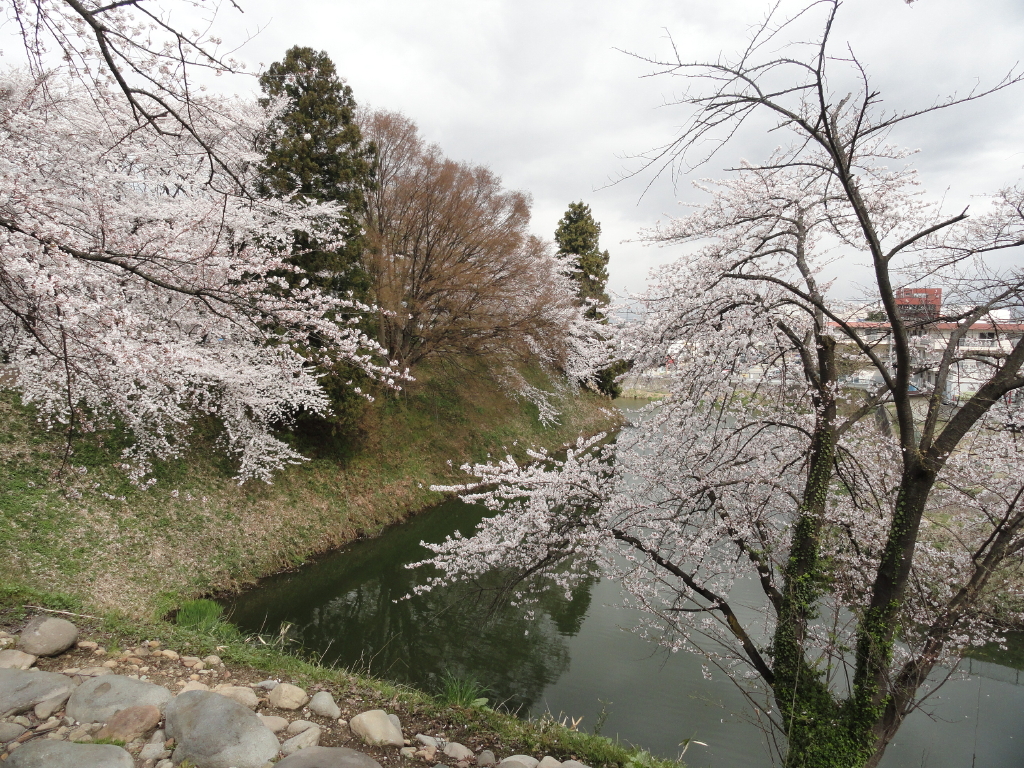 img0047.jpg
