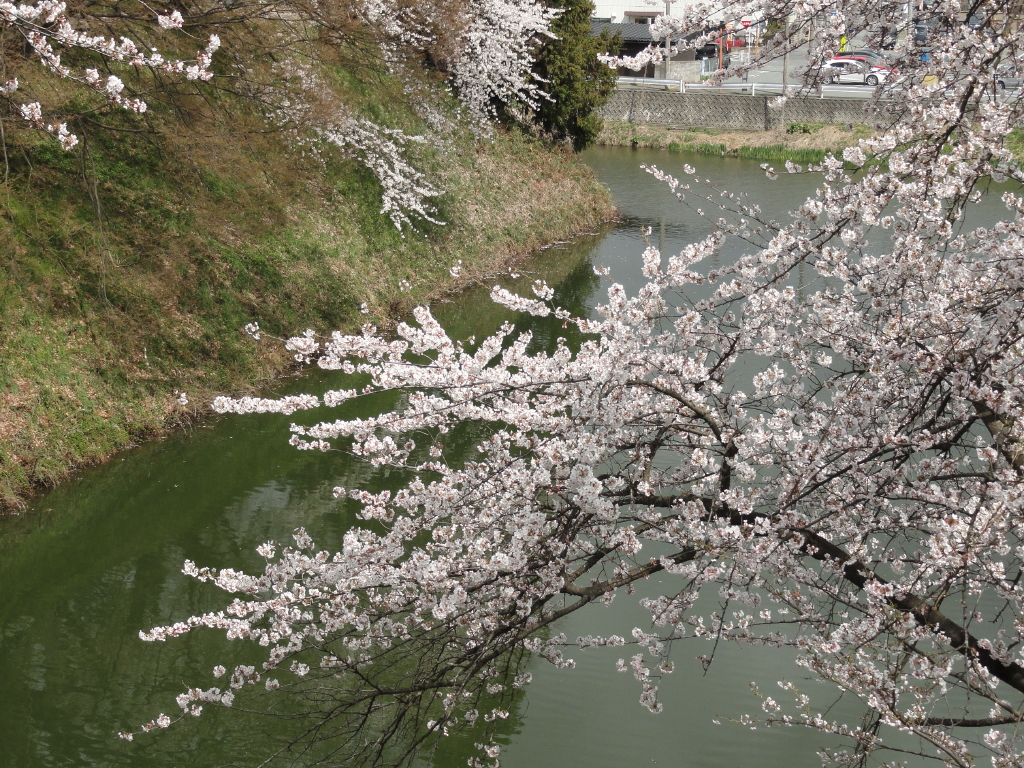 img0048.jpg