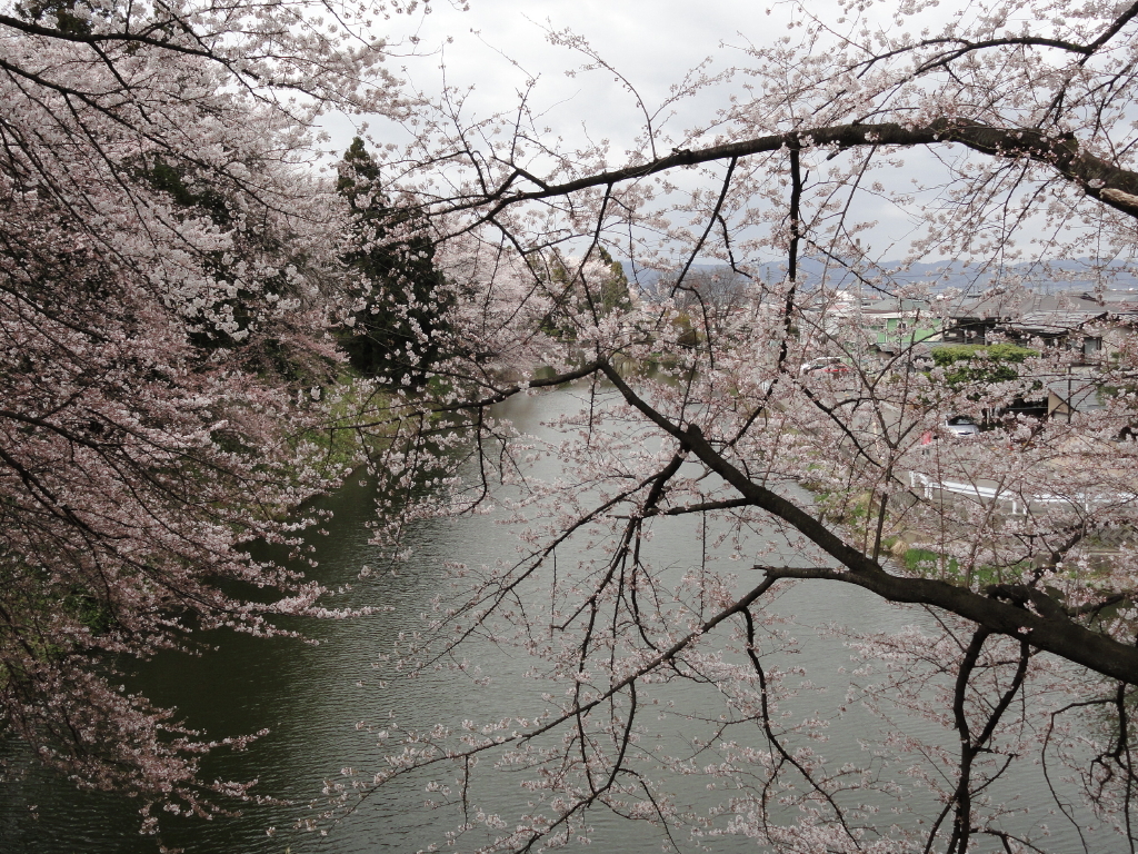img0052.jpg