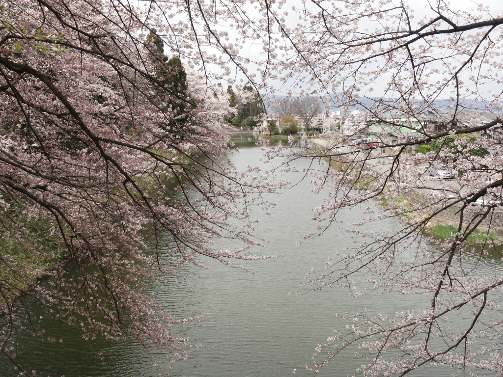 img0053.jpg