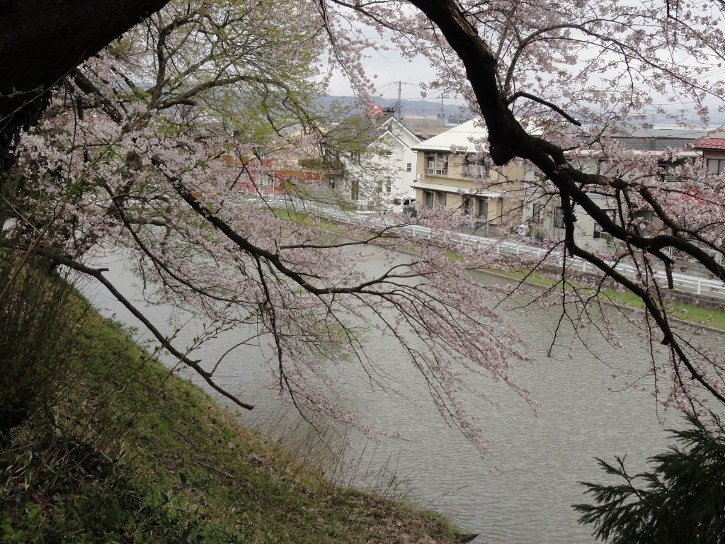 img0060.jpg