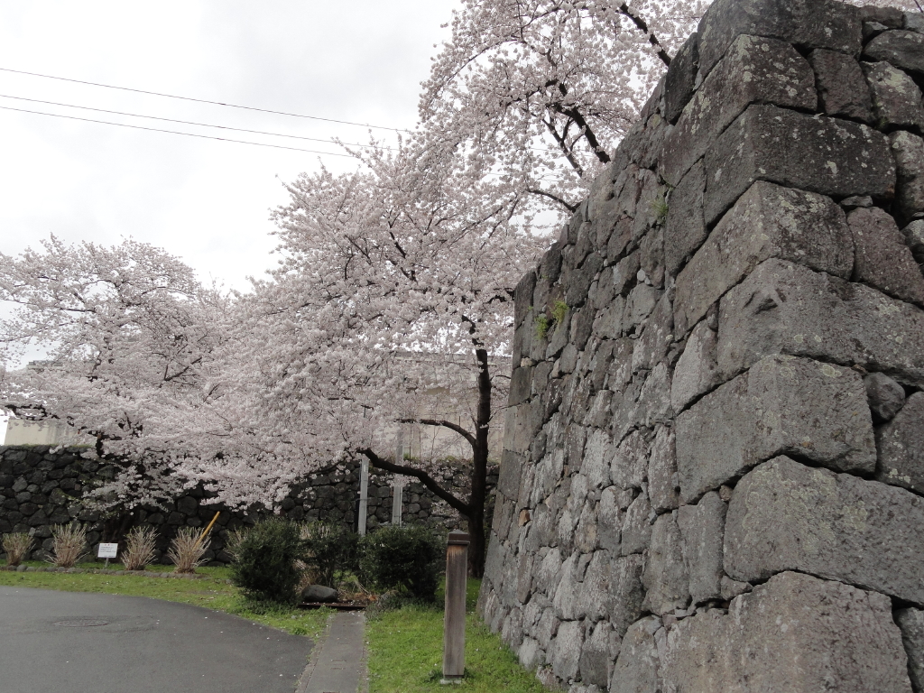 img0110.jpg