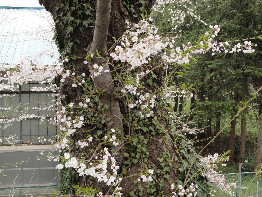 img0115.jpg