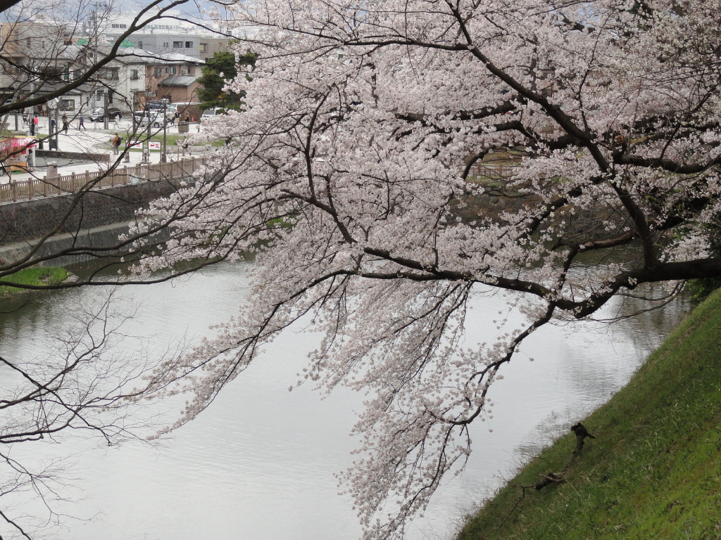 img0116.jpg