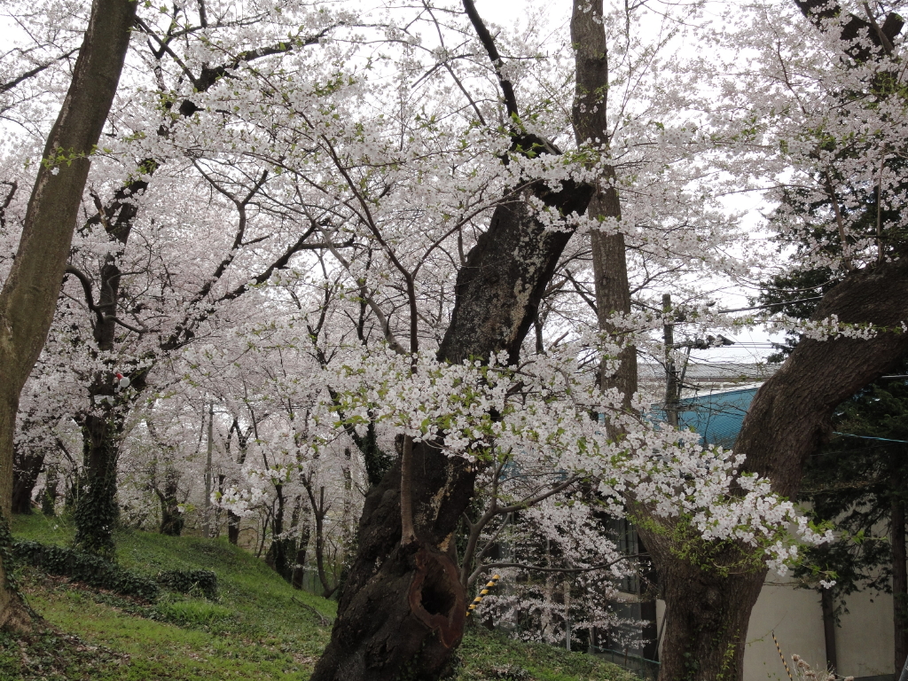 img0118.jpg
