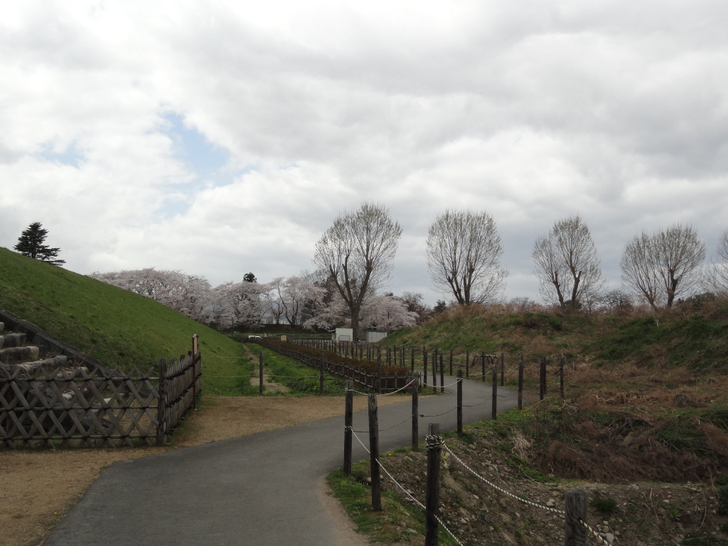 img0123.jpg