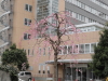 img0002.jpg