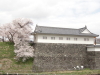 img0008.jpg