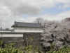 img0010.jpg
