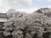img0012.jpg