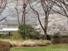 img0015.jpg