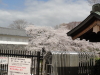 img0018.jpg
