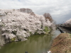 img0019.jpg