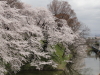 img0021.jpg
