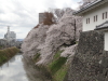 img0025.jpg