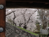 img0030.jpg
