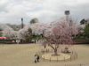 img0034.jpg