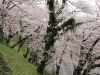 img0035.jpg