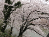 img0036.jpg