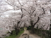 img0037.jpg