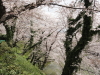 img0039.jpg