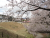 img0040.jpg