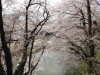 img0042.jpg