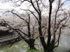 img0043.jpg