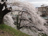 img0044.jpg