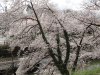 img0045.jpg