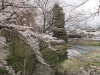 img0046.jpg