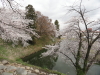 img0047.jpg