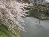 img0049.jpg